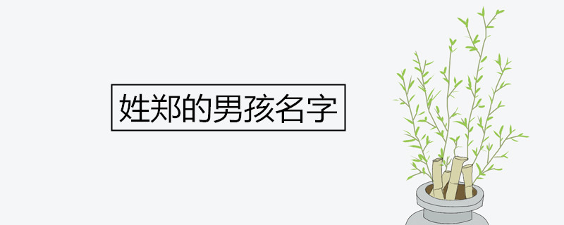 姓郑的男孩名字